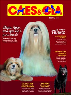 Cães e Cia Ed. 508