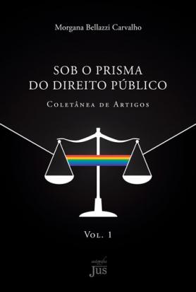 Sob o prisma do direito público: coletânea de artigos