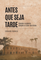 Antes que seja tarde: Passado e presente: Campos e o Solar dos Airizes